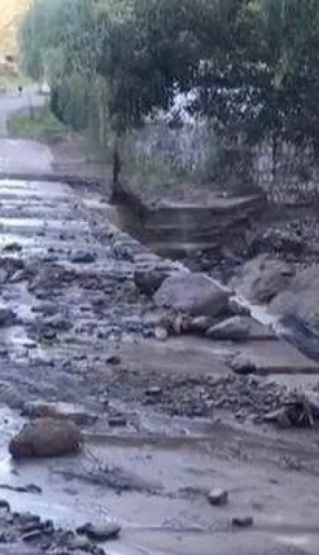 WhatsApp-Image-2021-02-12-at-08.42.05