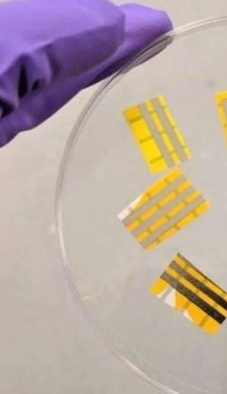 tatuajes-oled-inteligentes