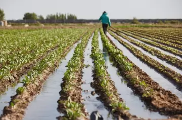Las asambleas generales de usuarios marcan el calendario de Irrigación