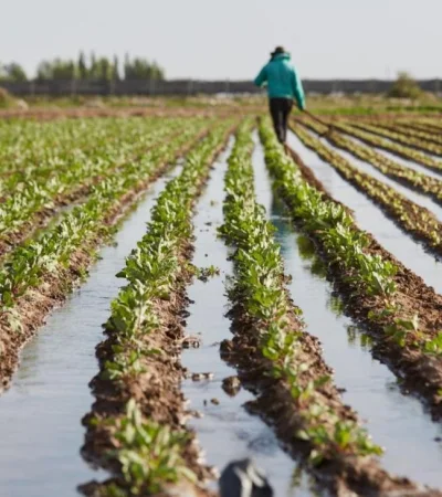 Las asambleas generales de usuarios marcan el calendario de Irrigación durante octubre