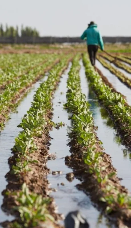 Las asambleas generales de usuarios marcan el calendario de Irrigación