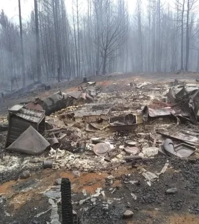 WhatsApp-Image-2021-03-10-at-23.02.10