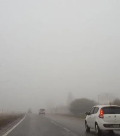 En algunas zonas de la franja central de la Argentina se esperan neblinas durante el fin de semana.