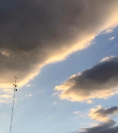 WhatsApp-Image-2021-03-22-at-08.15.55