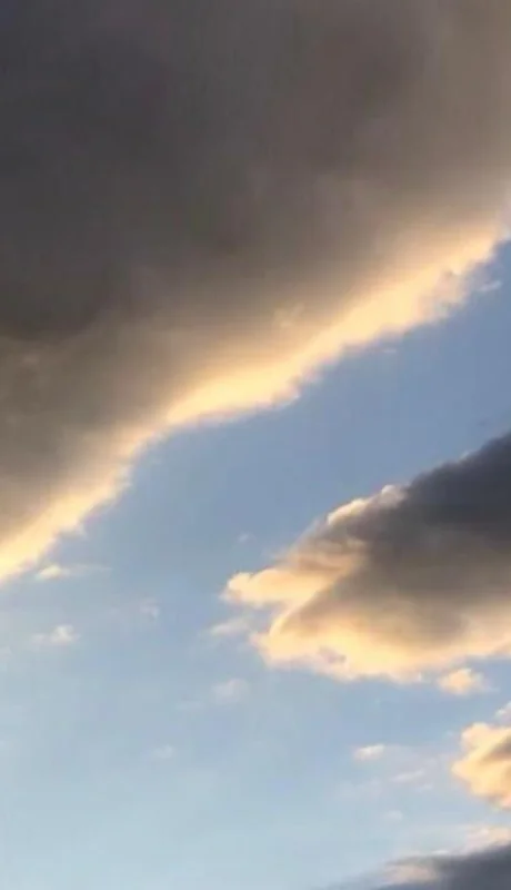 WhatsApp-Image-2021-03-22-at-08.15.55