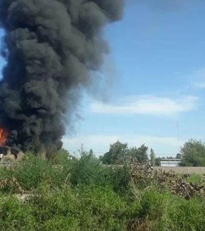 WhatsApp-Image-2021-03-10-at-18.09.38-(1)