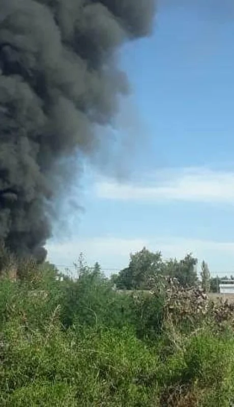 WhatsApp-Image-2021-03-10-at-18.09.38-(1)