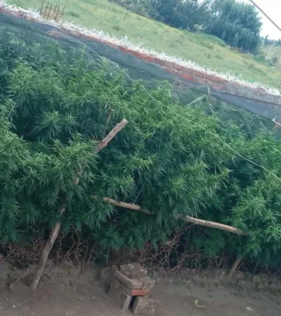 CCA60541-014C-40B1-82A0-79908F69AF69