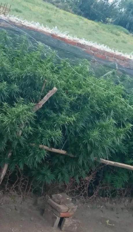 CCA60541-014C-40B1-82A0-79908F69AF69