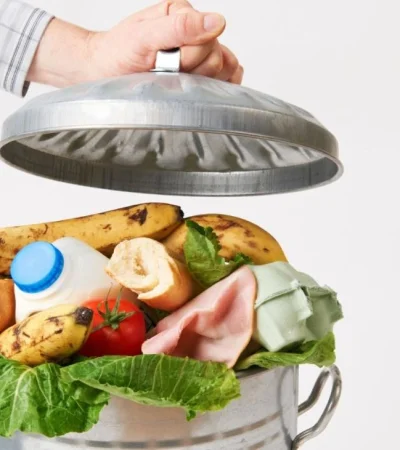 parar-desperdicio-mundial-alimentos