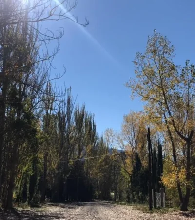 WhatsApp-Image-2021-04-26-at-07.51.45