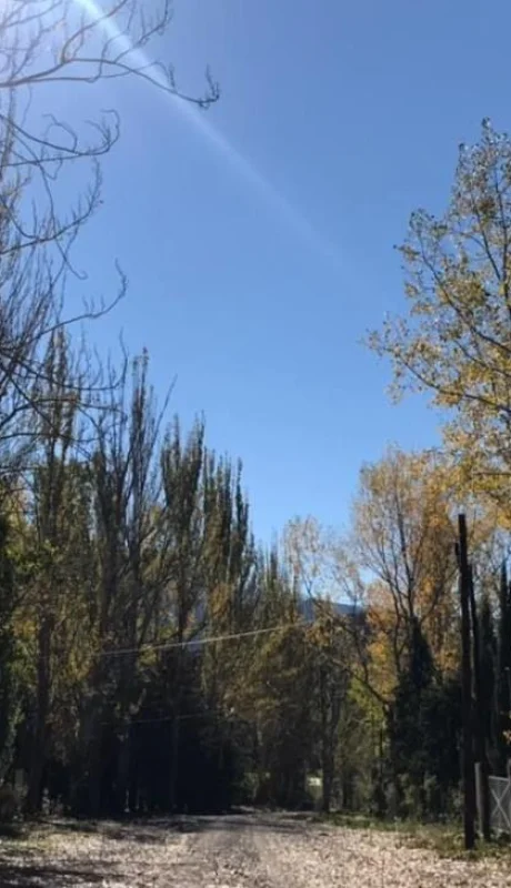 WhatsApp-Image-2021-04-26-at-07.51.45