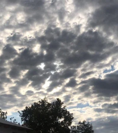 WhatsApp-Image-2021-04-01-at-09.33.44