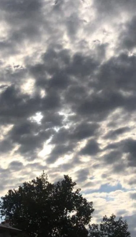 WhatsApp-Image-2021-04-01-at-09.33.44