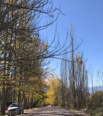 WhatsApp-Image-2021-04-26-at-07.51.45-(1)