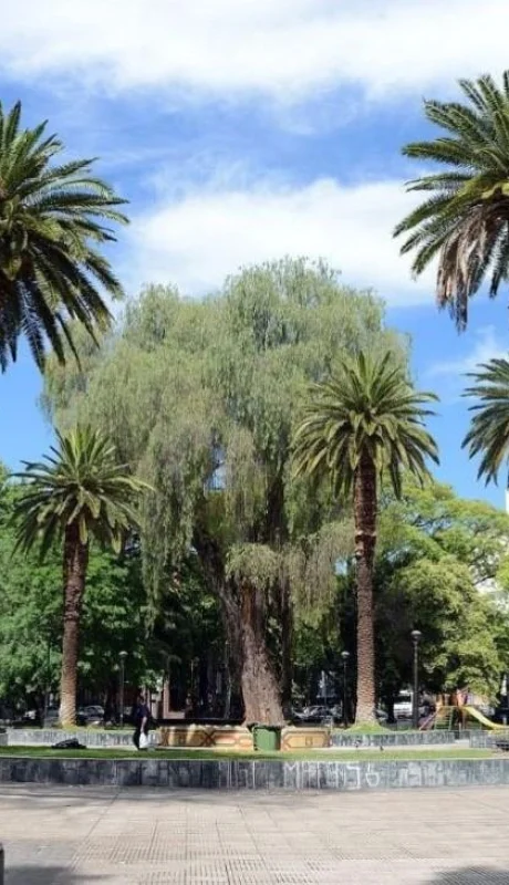 08-01-Plaza-Chile-In-Mendoza