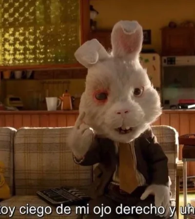 WhatsApp-Image-2021-04-14-at-18.32.07