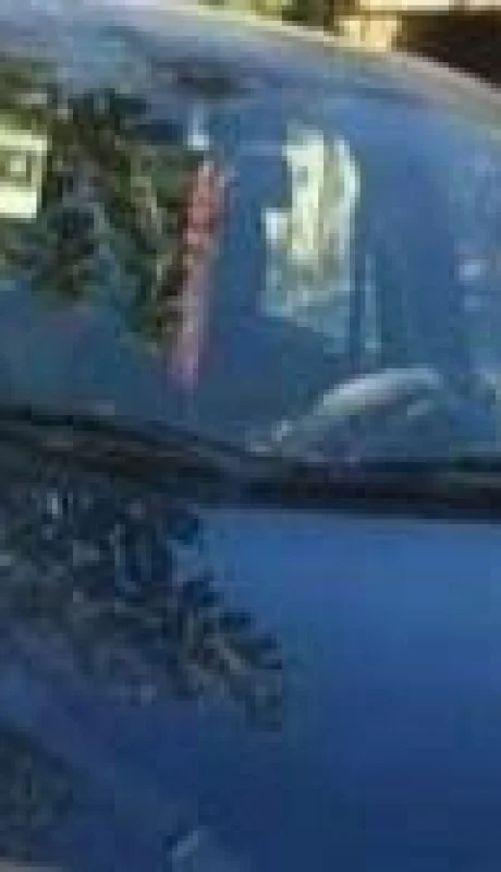 IMG_20210420_151646_630