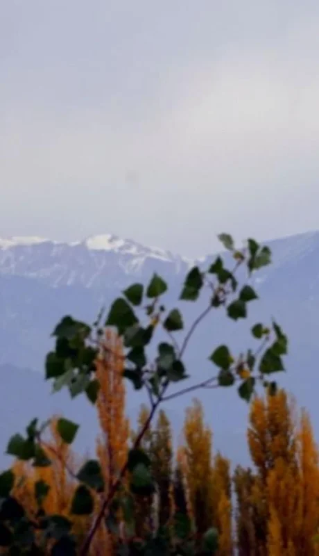 OTOÑO-EN-MENDOZA-08-COMP