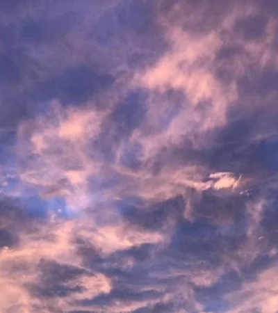 WhatsApp-Image-2021-04-19-at-08.25.35