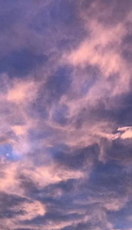 WhatsApp-Image-2021-04-19-at-08.25.35