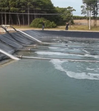 WhatsApp-Image-2021-04-12-at-6.30.20-PM-(1)