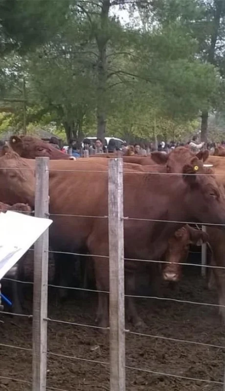 WhatsApp-Image-2021-05-18-at-18.41.57