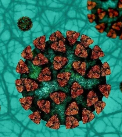 variante-británica-mendoza-casos-hoy