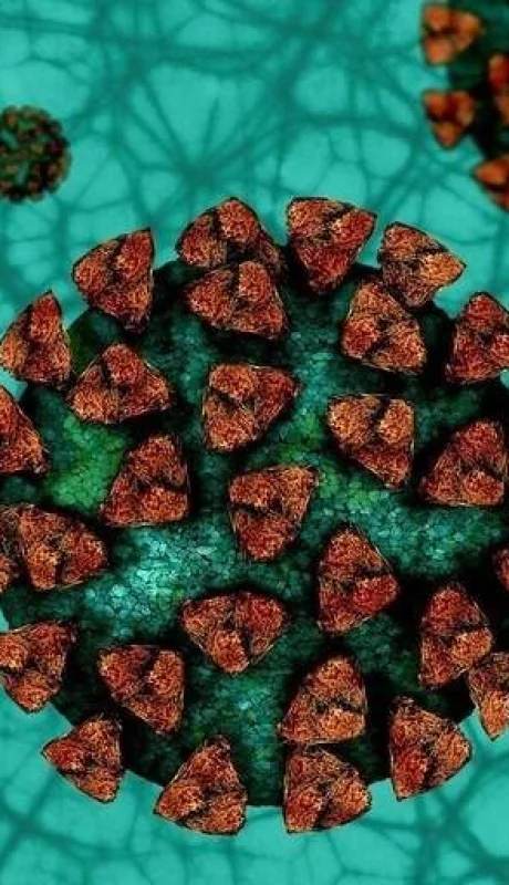 variante-británica-mendoza-casos-hoy