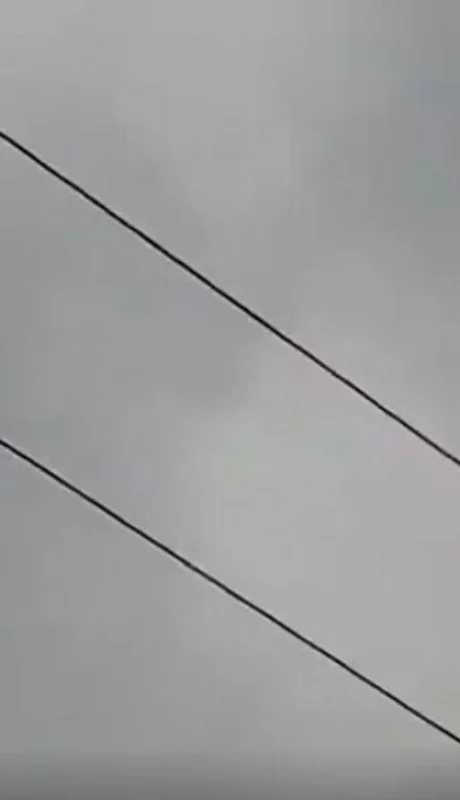 video-mono-suelto-godoy-cruz-electrocutado-mendoza