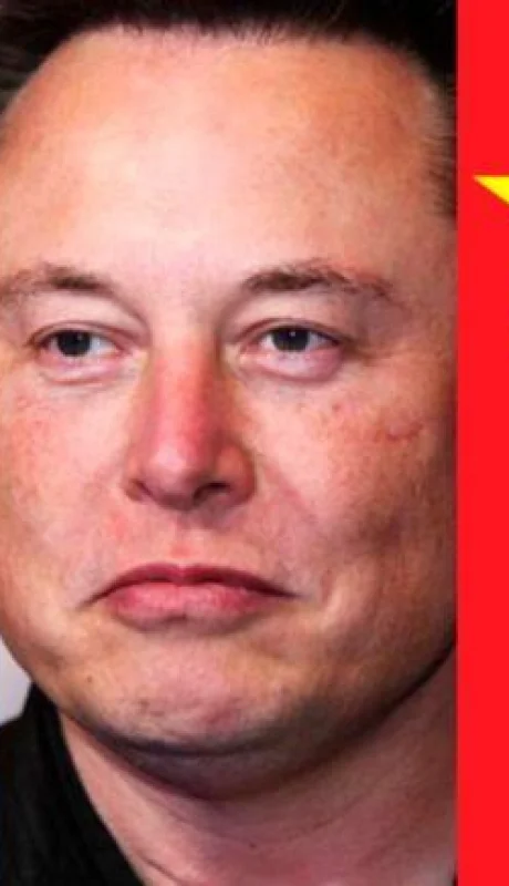 china-musk-bitcoin-precio-mercado-criptomonedas