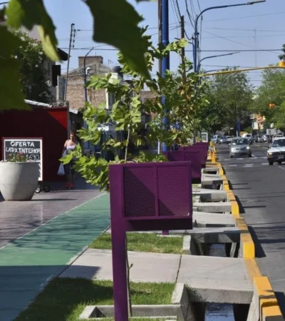 paso-de-los-andes-godoy-cruz-3