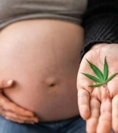 embarazomarihuana-k1mE-U17717441123pcR-620x349@abc