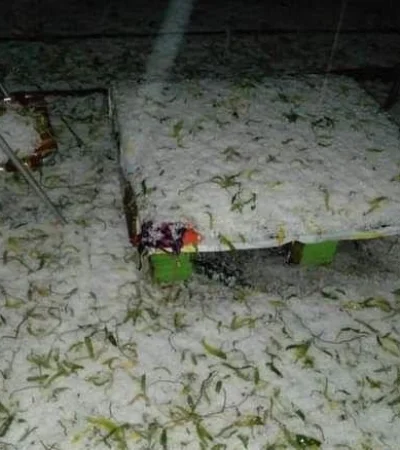 WhatsApp-Image-2021-05-20-at-10.14.17