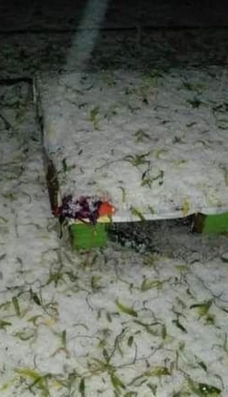 WhatsApp-Image-2021-05-20-at-10.14.17