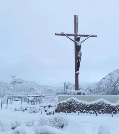 NIeve--Manzano-valle-de-uco