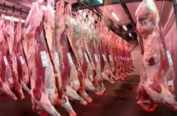 El novillo argentino ya es el más caro del Mercosur