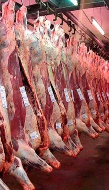 Por los altos precios, Argentina pierde competitividad en el mercado de la carne en el exterior.