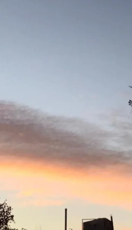 WhatsApp-Image-2021-06-07-at-08.31.42