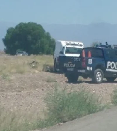 WhatsApp-Image-2019-03-04-at-12.30.24-(1)