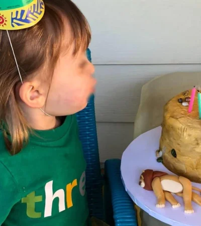 torta-viral-cumpleaños-niña-nena-fotos-video