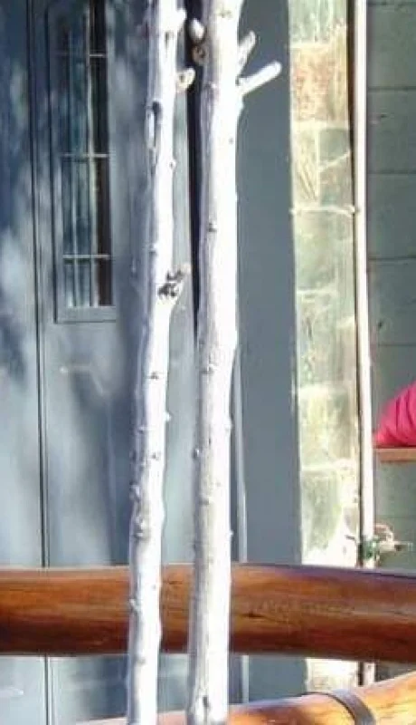 vacunacio?n-coronavirus-san-rafael