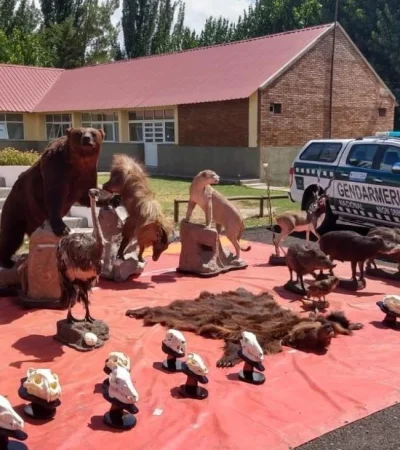 WhatsApp-Image-2021-06-14-at-17.00.10