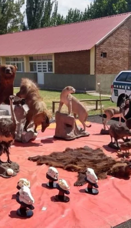 WhatsApp-Image-2021-06-14-at-17.00.10