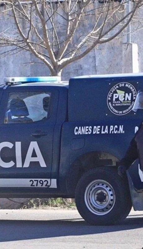 3F5310A5-0C1C-4F6C-AC44-4D44D35BFB6D