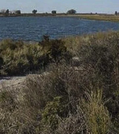 BB472044-E91A-4D54-8A75-D853FE20E999