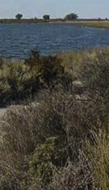 BB472044-E91A-4D54-8A75-D853FE20E999