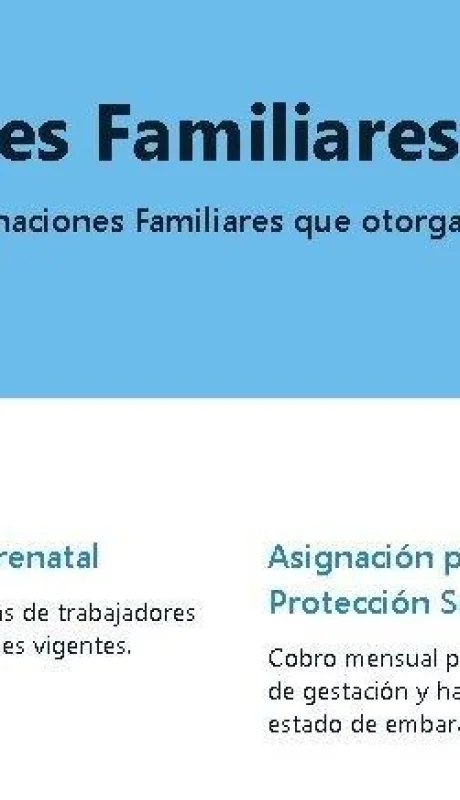 consulta_liquidacion_suaf