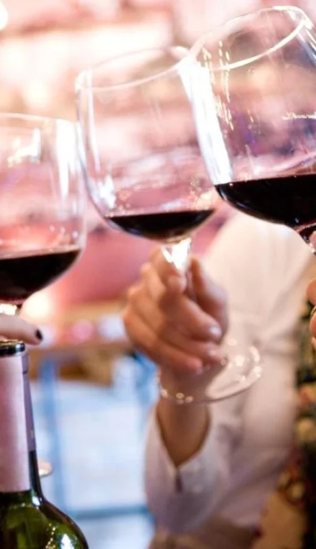 vino_brindis_mujer