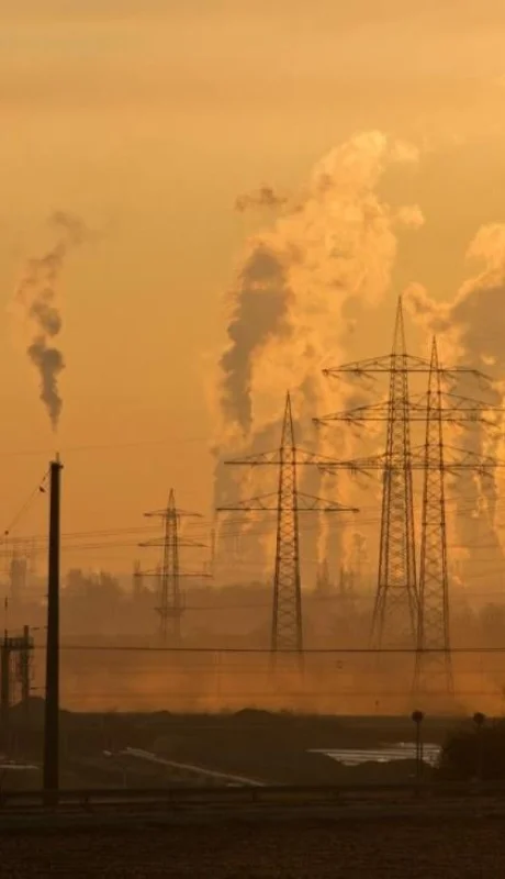 pexels-pixabay-221012